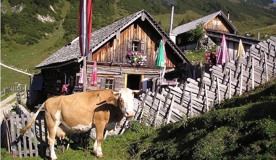 Apartment Haus Van Der Leij Russbach am Pass Gschütt Eksteriør billede